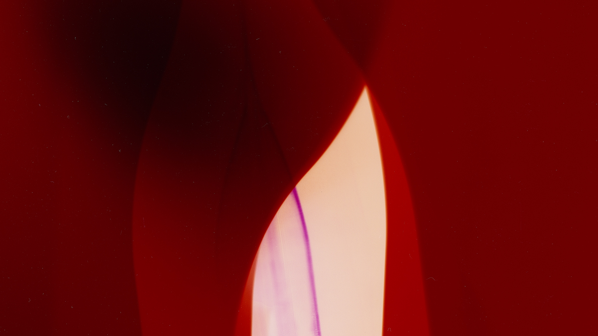 Rose Vintage 2009