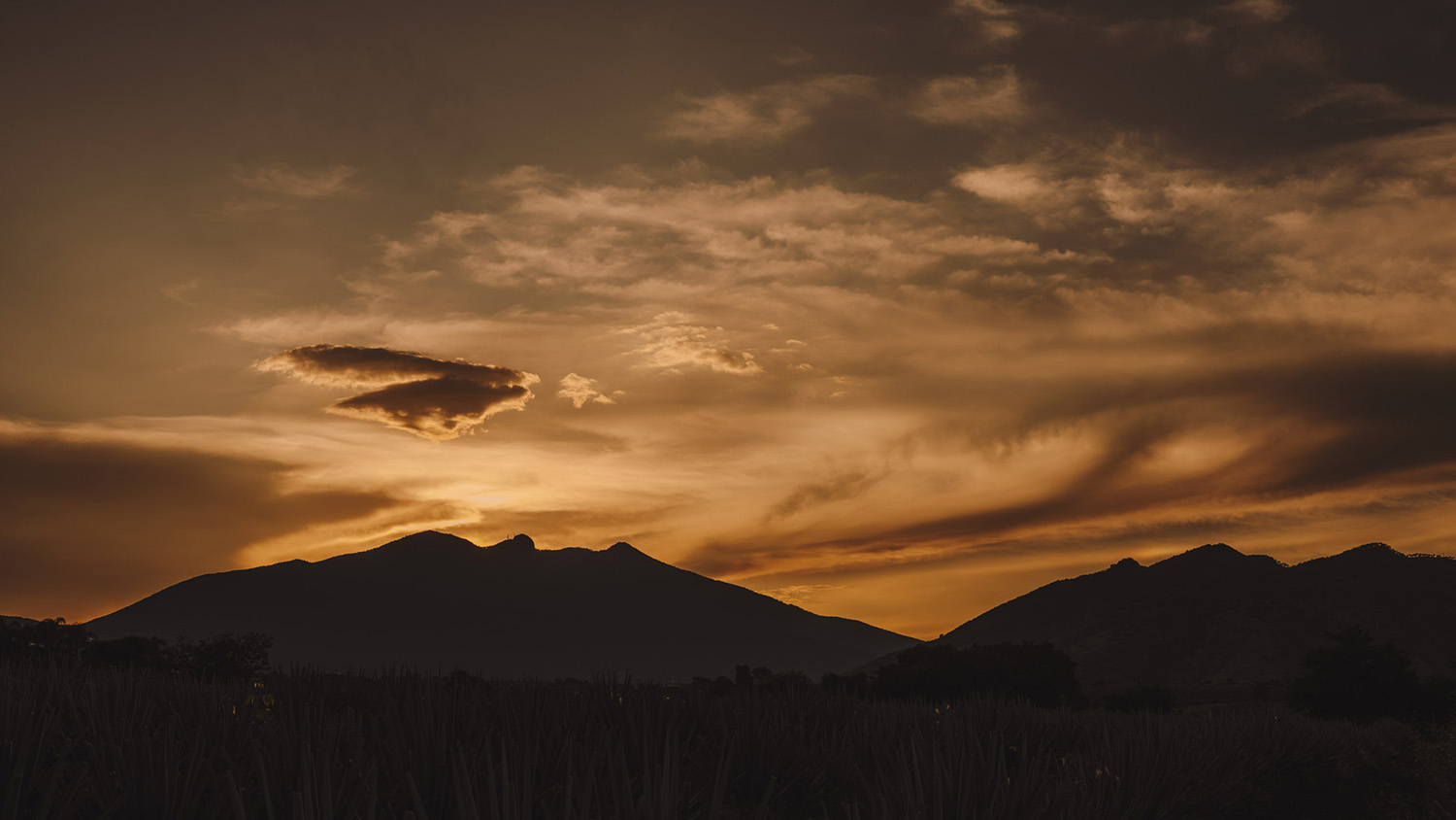 mickael_jacquemin_volcan_de_mi_tierra_05